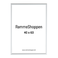 Sølvramme, mat, aluminium, smal, 40 x 60 cm, Type 670