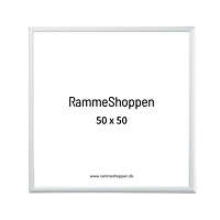 Sølvramme, mat, aluminium, smal, 50 x 50 cm, Type 670