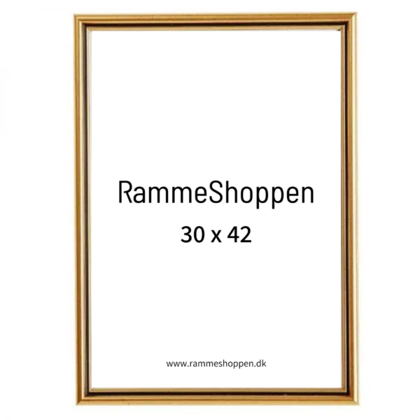 tøj Hals twinkle 30x42 cm A3 guld ramme - PhoEco 7301