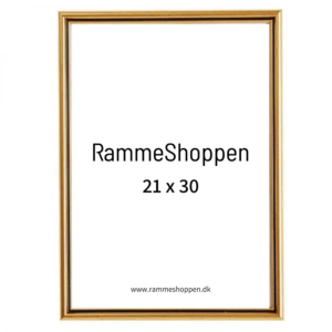 Distribuere aktivitet . A4 Ramme | Flotte A4 Billedrammer i 21x30 CM | Køb Online Her